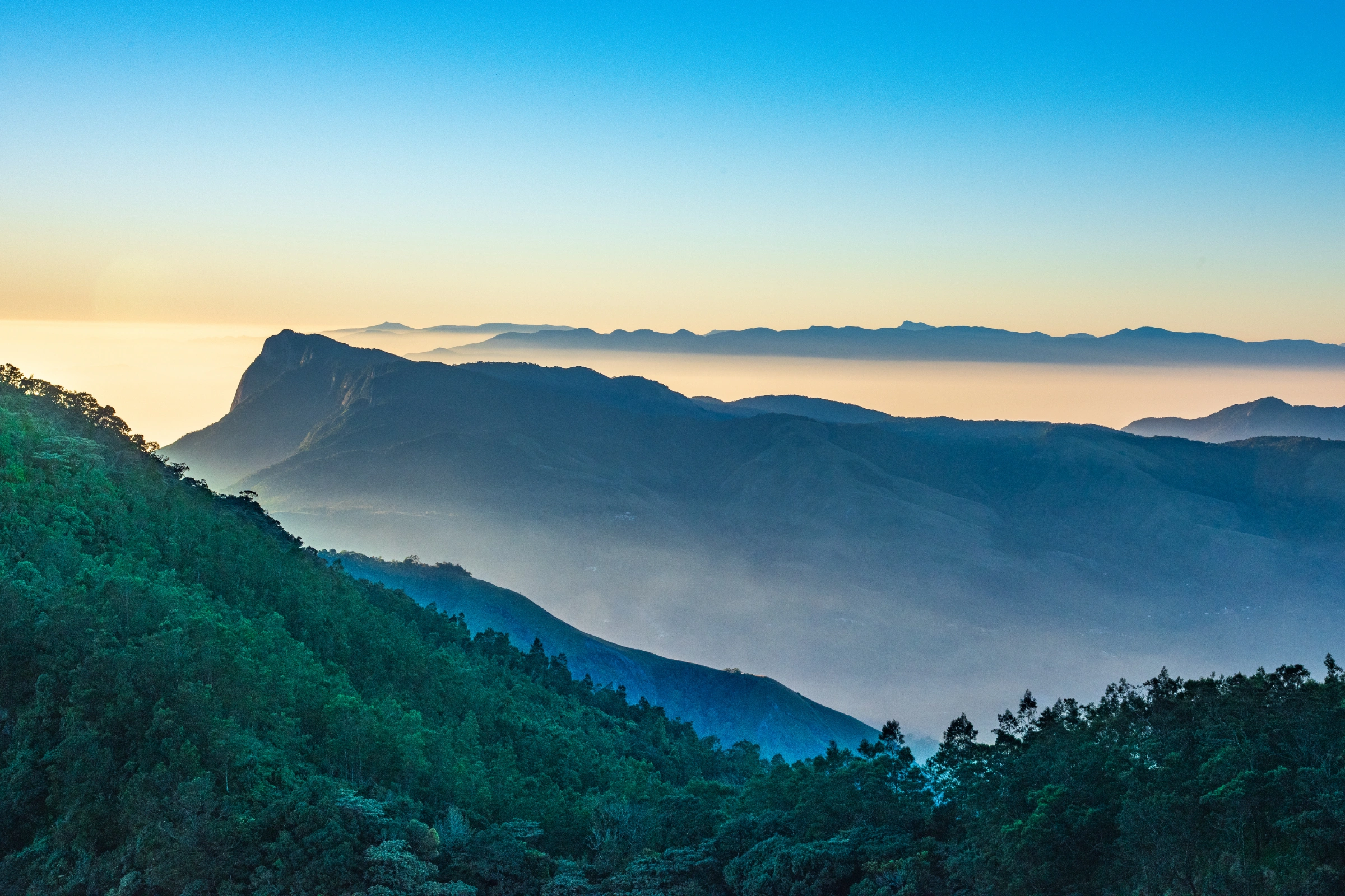 Munnar[1].webp